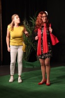 Vogels 15