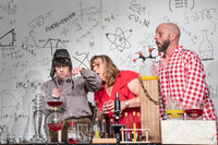 Het Smirnoffvaccin 26